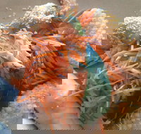 On Shore - Kawana Tourism