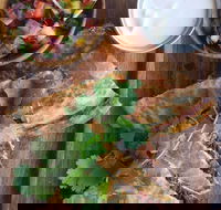 Batch Espresso - Kawana Tourism