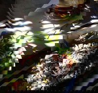 Good Cartel - Kawana Tourism