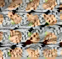 Sushi Pia - Kawana Tourism