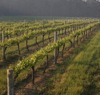 Cape Grace Wines - Kawana Tourism