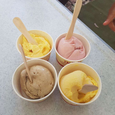 Delizia Gelato And Sorbet - Kawana Tourism 0