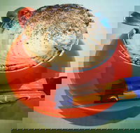 Arthur Radley - Kawana Tourism