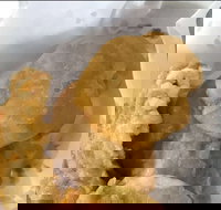 Captain Roxburg Fish  Chips - Kawana Tourism