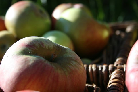 Denmark Heritage Cider Company - Kawana Tourism 0