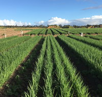 Hawkes Farm - Kawana Tourism