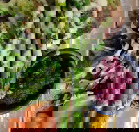 Higher Ground - Kawana Tourism