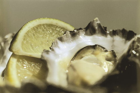 Pearly Oyster Bar And Farm - Kawana Tourism 0