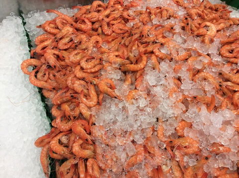 Pearly Oyster Bar And Farm - Kawana Tourism 1
