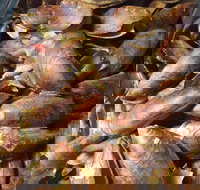 Pacific Eats - Kawana Tourism