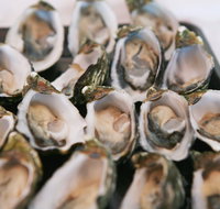 S.D. Caputo And Sons - Kawana Tourism
