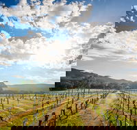 Fallen Giants Vineyard - Kawana Tourism