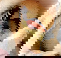 Post Office Cafe - Kawana Tourism