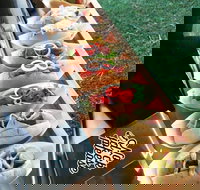 Balter Brewing Company - Kawana Tourism