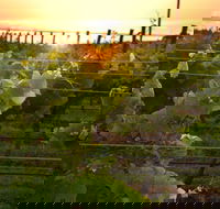 Bennetts on Bellarine Winery - Kawana Tourism