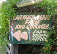 Lavender and Berry Farm Cafe
