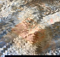 Mad Mex Fresh Mexican Grill - Kawana Tourism