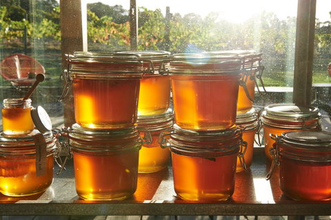 Barnyard1978 - Kawana Tourism 2