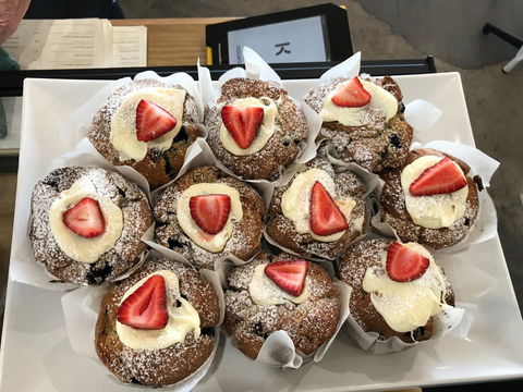 Edina Waterfront Cafe - Kawana Tourism 0