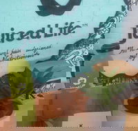 Juiced Life - Kawana Tourism