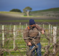Kurtz Family Vineyards - Kawana Tourism