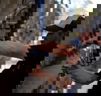 Wild Hop Brewing Company - Kawana Tourism