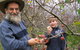 Pine Crest Orchard - thumb 0