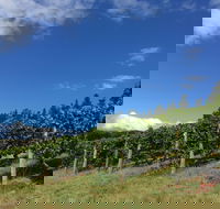 Freycinet Vineyard - Kawana Tourism