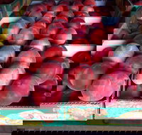 Martins Orchard - Kawana Tourism