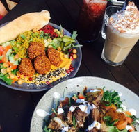 Rainforest Cafe Restaurant - Kawana Tourism