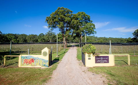 Long Point Vineyard And Art Gallery - Kawana Tourism 1