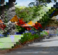 Oakdene Vineyards and Cellar Door - Kawana Tourism