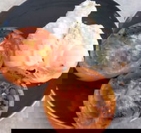 The Deck Poolside Bar  Restaurant - Kawana Tourism