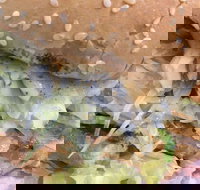 Great North Seafood - Kawana Tourism