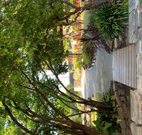 Velvet  Willow - Kawana Tourism