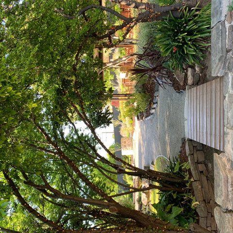 Velvet & Willow - Kawana Tourism 0