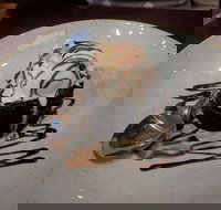 Front Bar - Greengate Hotel - Kawana Tourism