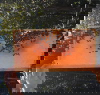 Clayridge Honey - Kawana Tourism