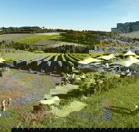 Montalto - Kawana Tourism