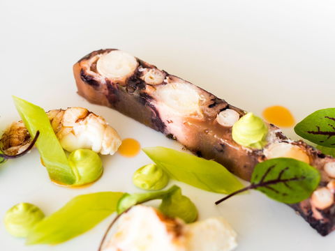 The Wild Herring - Kawana Tourism 0