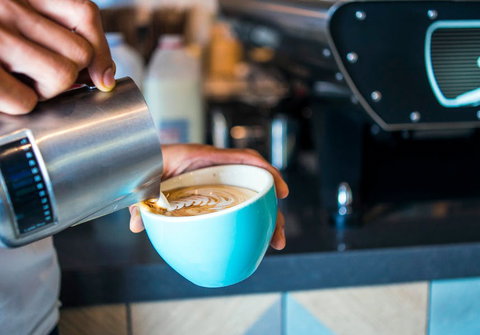 Blackbird & Co - Kawana Tourism 0