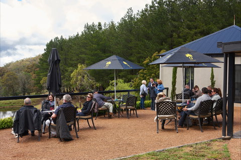 Cloud 9 Farm - Kawana Tourism 2