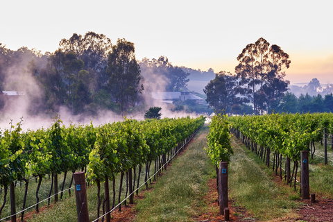 Millbrook Winery - Kawana Tourism 2