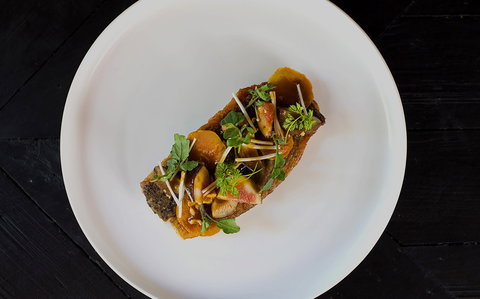 OTIS Dining Hall - Kawana Tourism 1