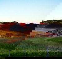 Dalwhinnie Wines - Kawana Tourism