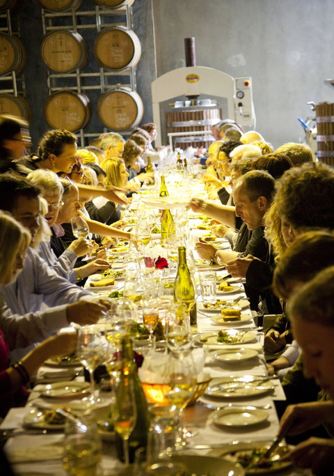 Dalwhinnie Wines - Kawana Tourism 2