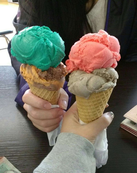 Niddrie Icecreamery - Kawana Tourism 0