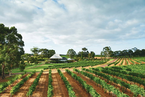Vasse Felix Winery - Kawana Tourism 0