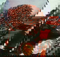 Bean There Done That Espresso Bar