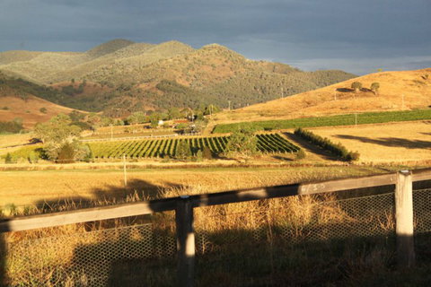 Optimiste Wines - Kawana Tourism 0